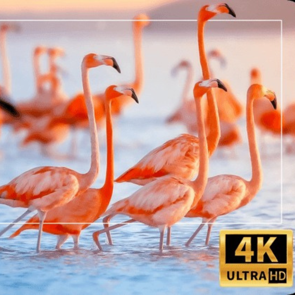 Proiector Cinema Profesional 4K – LANSARE 2025